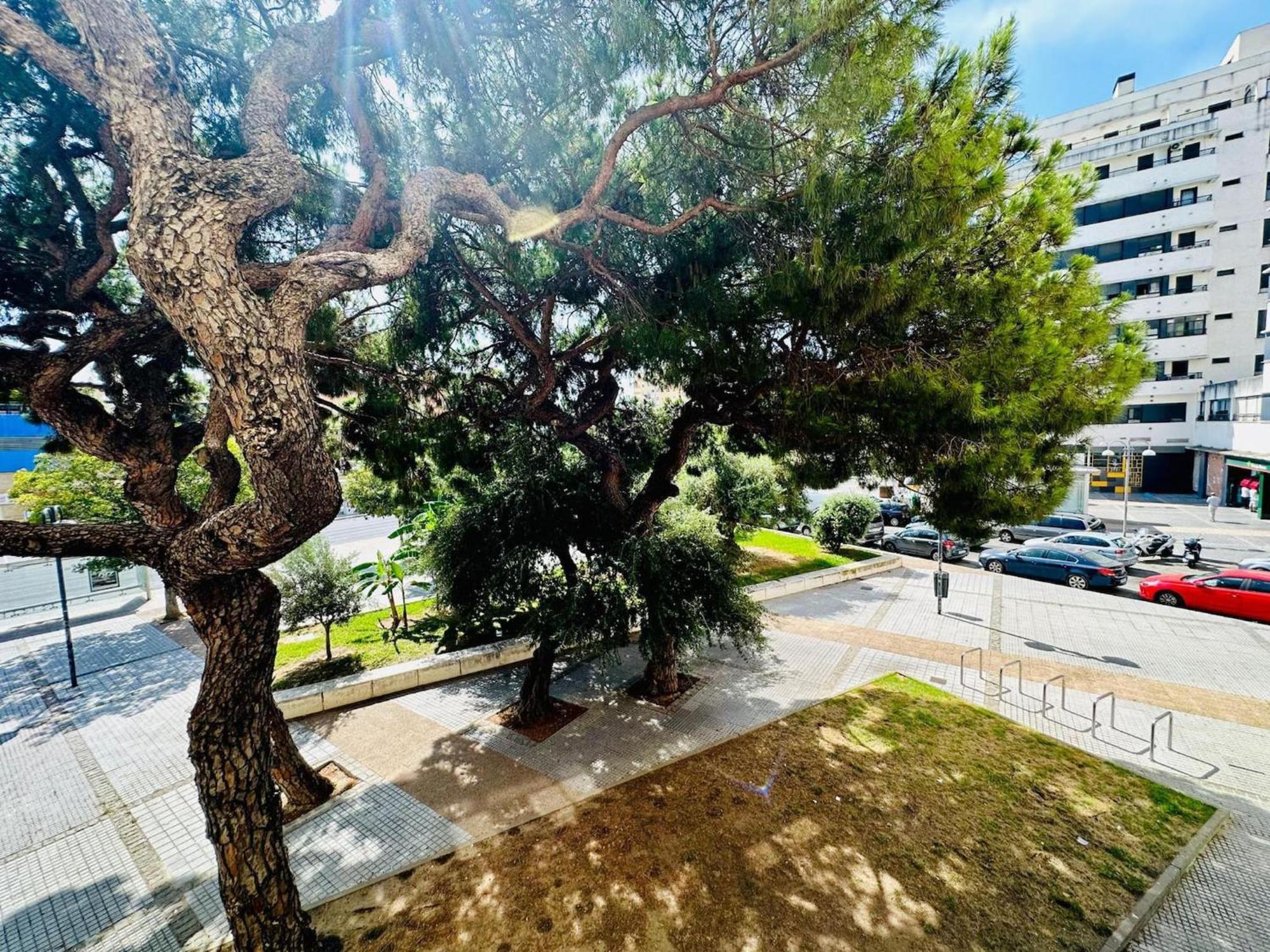 Appartement Avenida Portugal Con Ascensor Grupo Ac Gestion à Cadix Extérieur photo